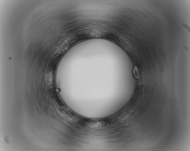 X0000102790646200809021115