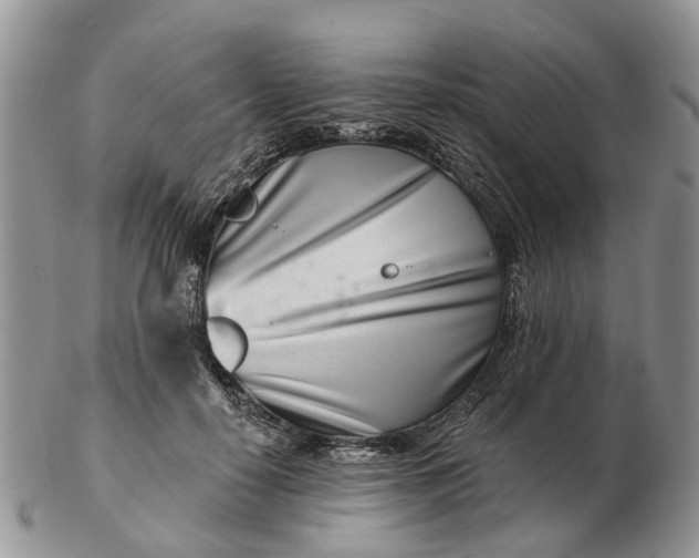 X0000102790650200809021115