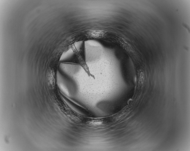 X0000102790651200809021115