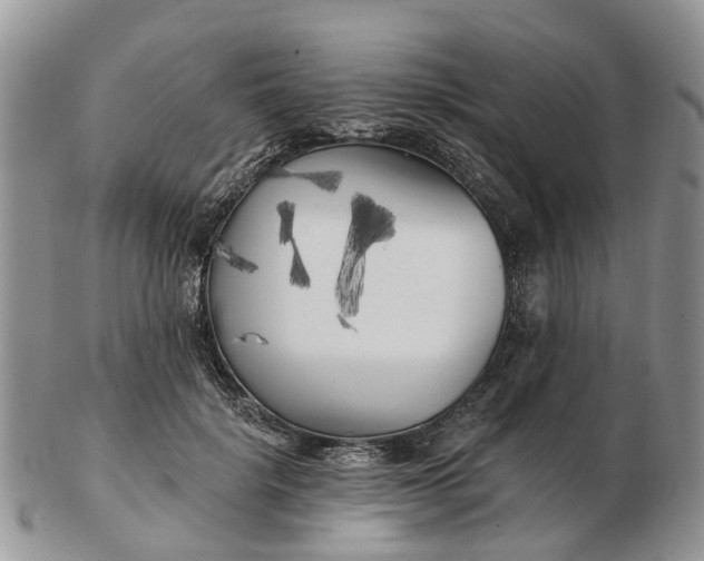 X0000102790652200809021115