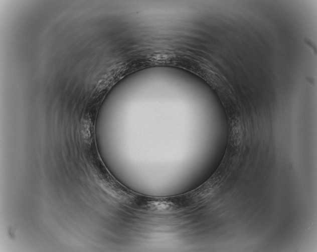 X0000102790654200809021115