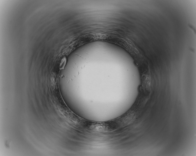 X0000102790655200809021115