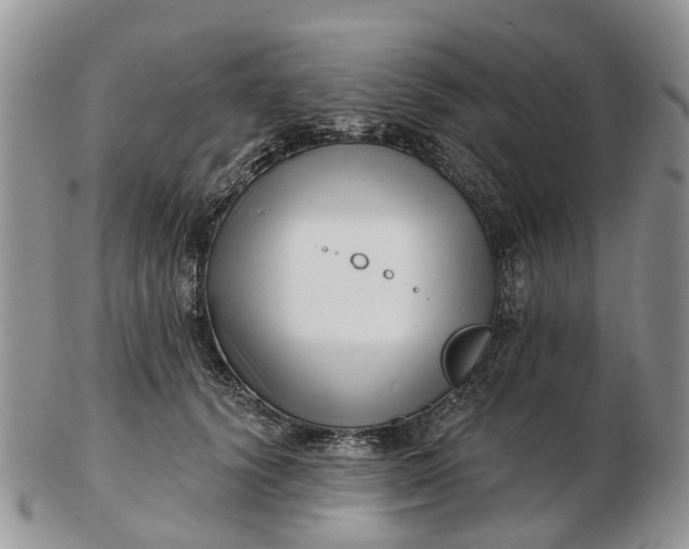 X0000102790656200809021115