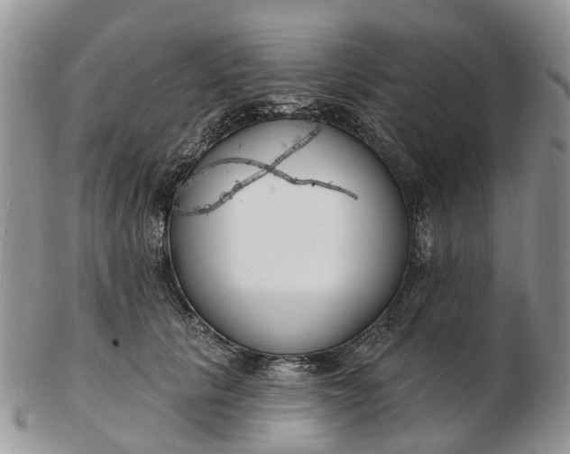 X0000102790657200809021115