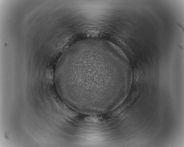 X0000102790661200809021115