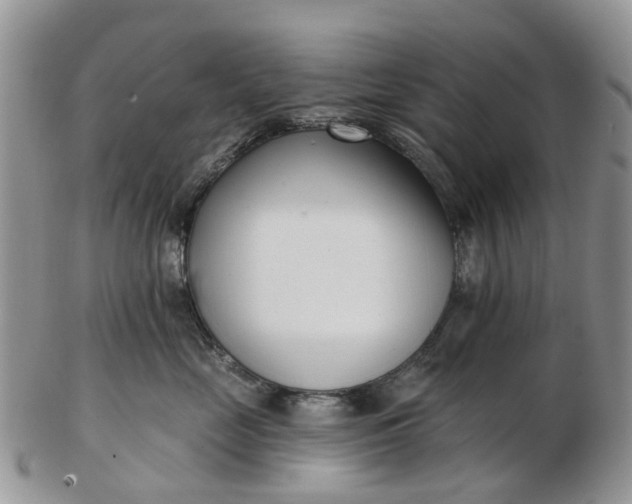 X0000102790669200809021116