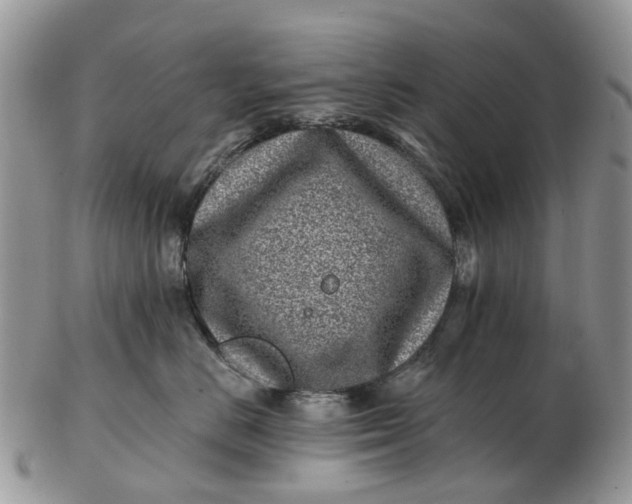 X0000102790670200809021116