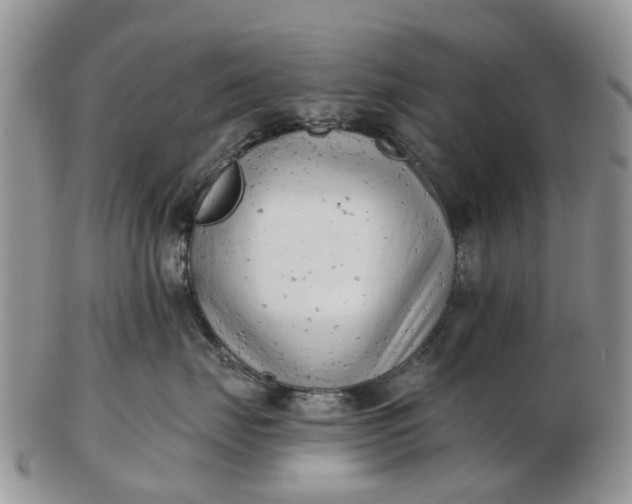 X0000102790671200809021116