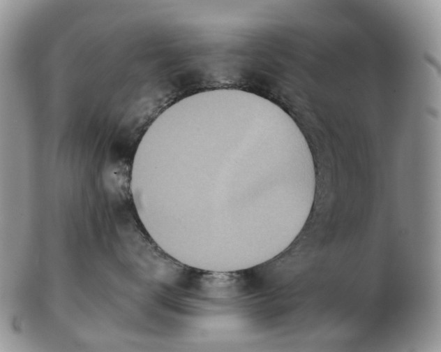 X0000102790672200809021116