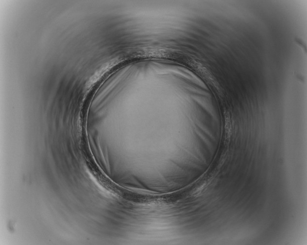 X0000102790674200809021115