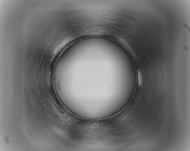 X0000102790675200809021115