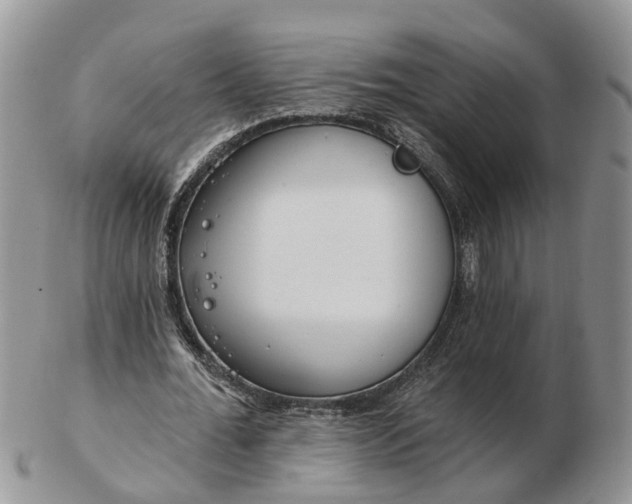 X0000102790676200809021115