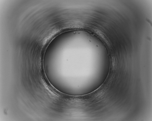 X0000102790677200809021115