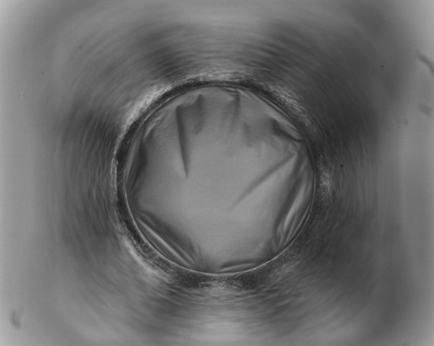 X0000102790678200809021115