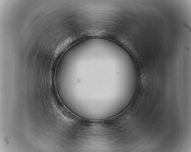 X0000102790682200809021115