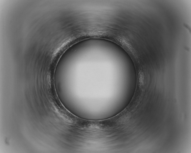 X0000102790684200809021115