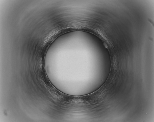 X0000102790685200809021115