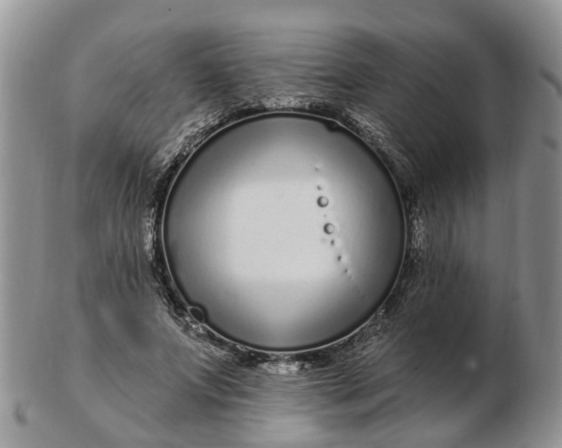 X0000102790687200809021115