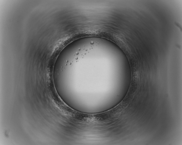 X0000102790688200809021115