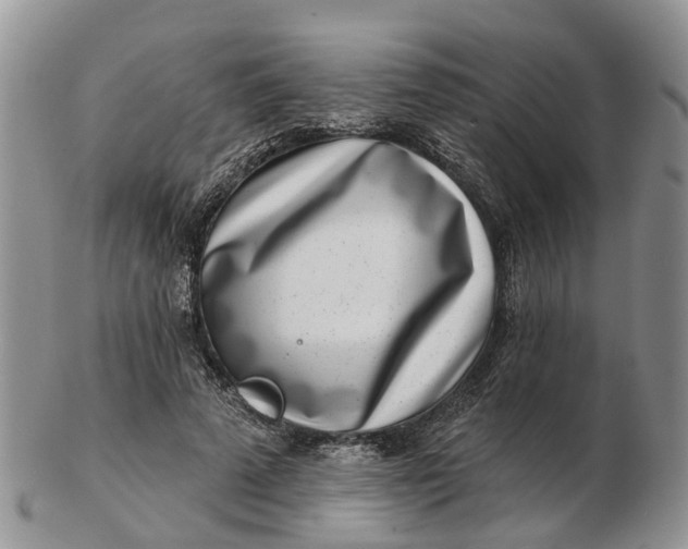 X0000102790689200809021115