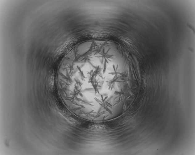 X0000102790691200809021115