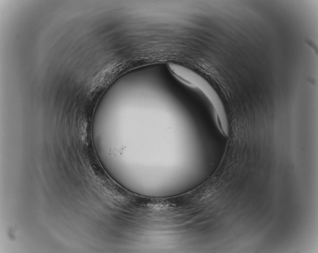 X0000102790693200809021115