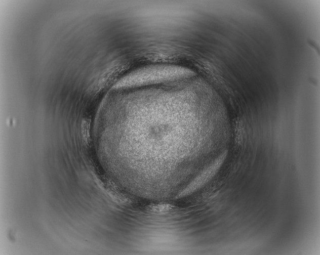 X0000102790695200809021115