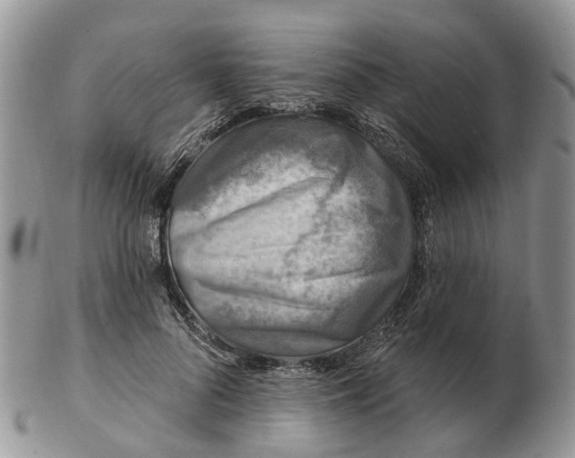 X0000102790696200809021115