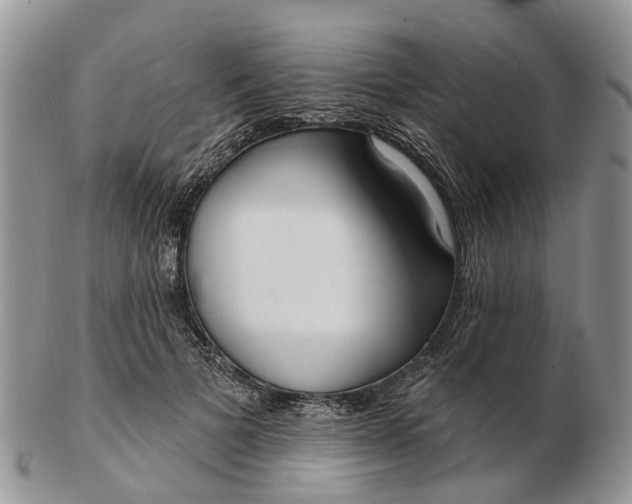 X0000102790697200809021115