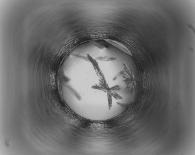 X0000102790699200809021115