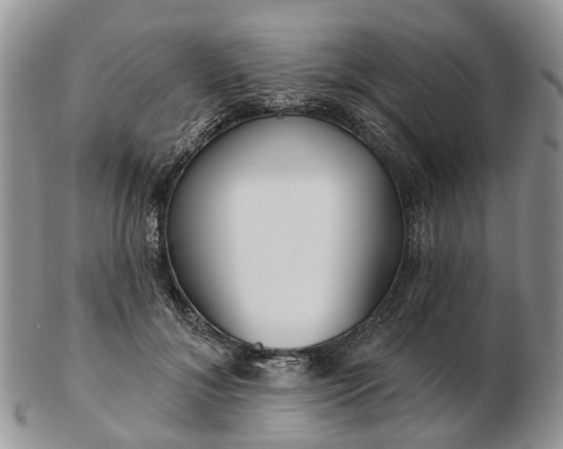 X0000102790700200809021115