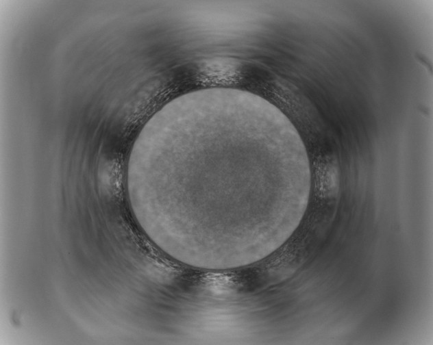 X0000102790701200809021115