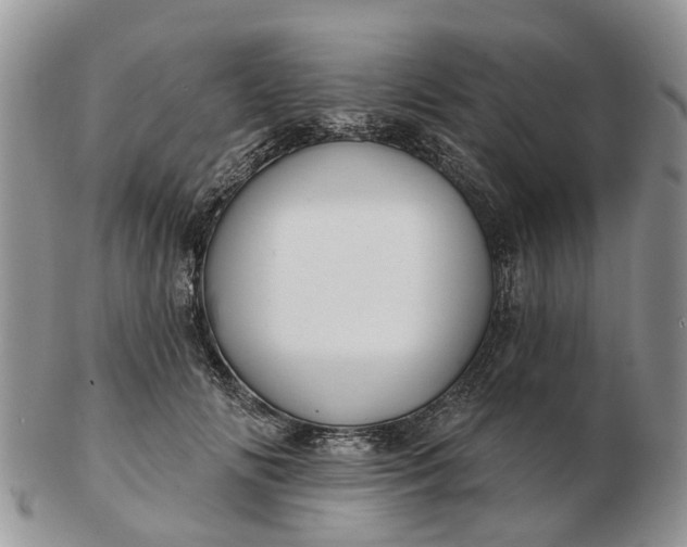 X0000102790702200809021115