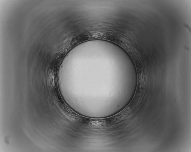 X0000102790703200809021115