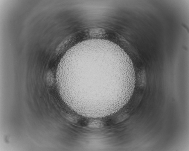 X0000102790705200809021114