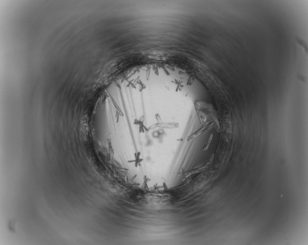 X0000102790707200809021114