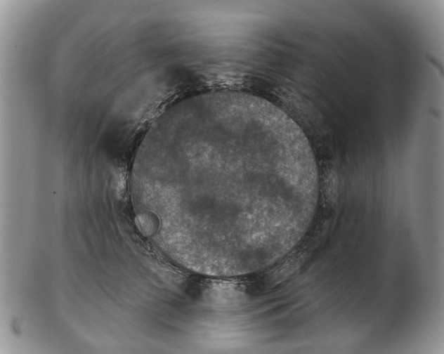 X0000102790709200809021114