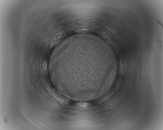 X0000102790711200809021114