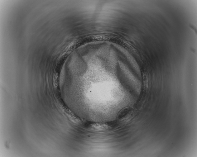 X0000102790712200809021114