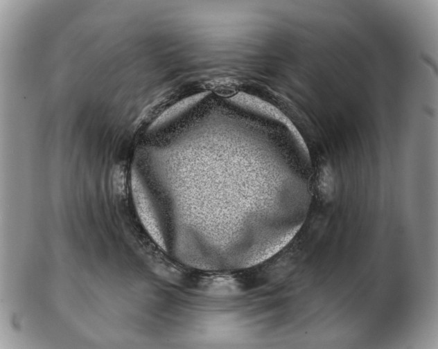 X0000102790715200809021114