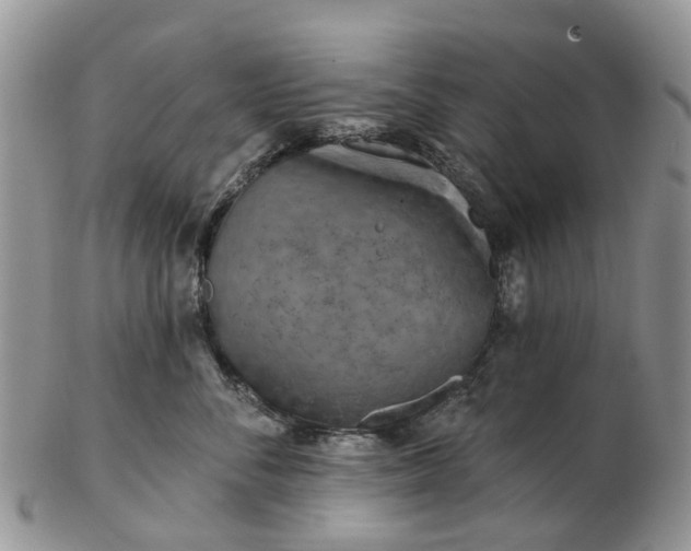 X0000102790716200809021114