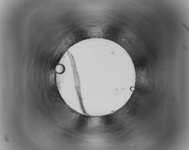 X0000102790717200809021114