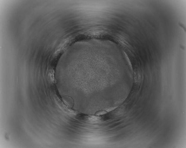 X0000102790718200809021114