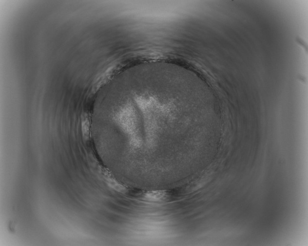 X0000102790720200809021114