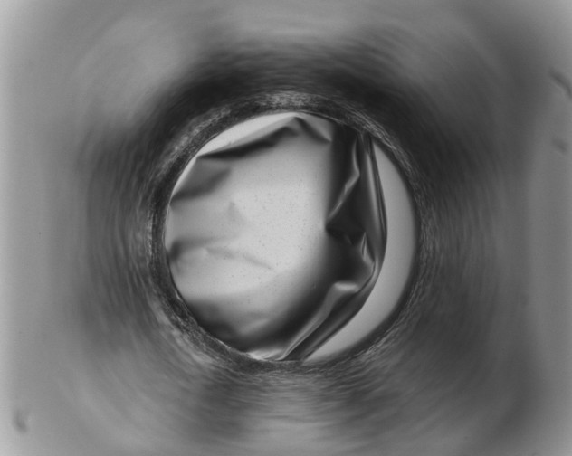 X0000102790722200809021114