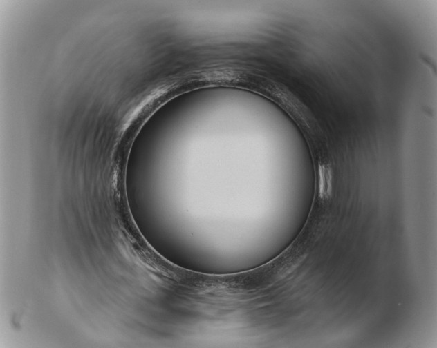 X0000102790723200809021114