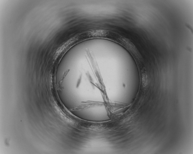 X0000102790725200809021114