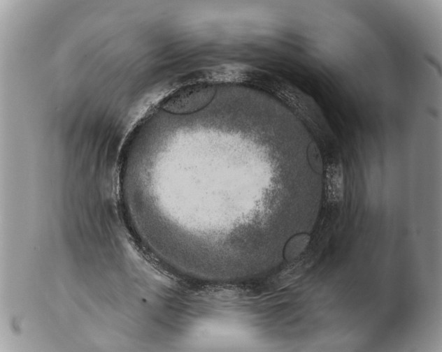 X0000102790726200809021114