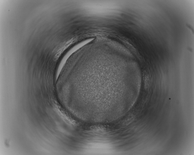 X0000102790729200809021114