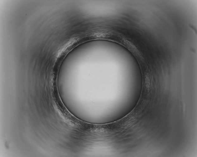 X0000102790730200809021114